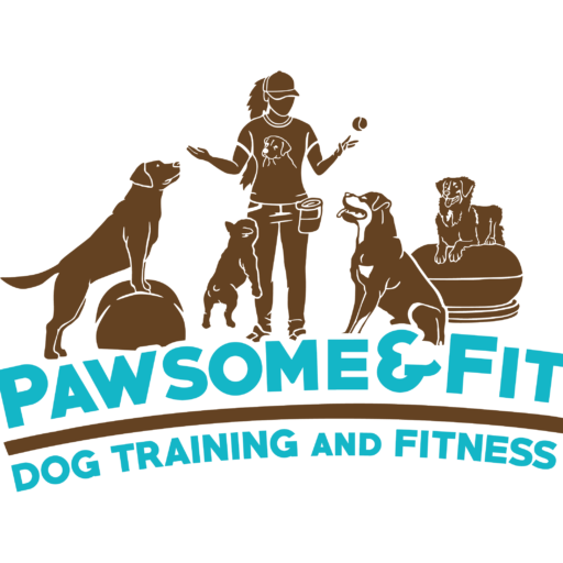 Dog walking in Kannapolis, NC. Where to go?