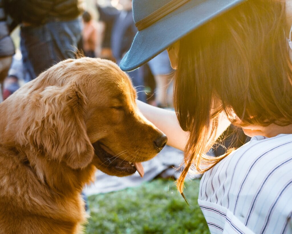 Golden retriever and his owner